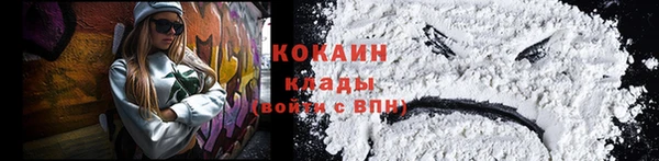 ПСИЛОЦИБИНОВЫЕ ГРИБЫ Абаза