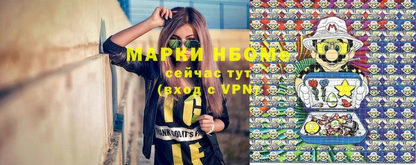 ПСИЛОЦИБИНОВЫЕ ГРИБЫ Абаза