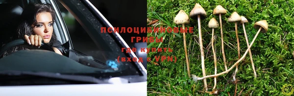 ПСИЛОЦИБИНОВЫЕ ГРИБЫ Абаза