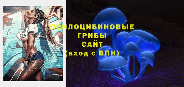 ПСИЛОЦИБИНОВЫЕ ГРИБЫ Бежецк