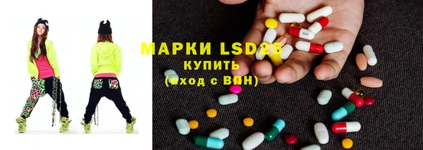 ПСИЛОЦИБИНОВЫЕ ГРИБЫ Абаза