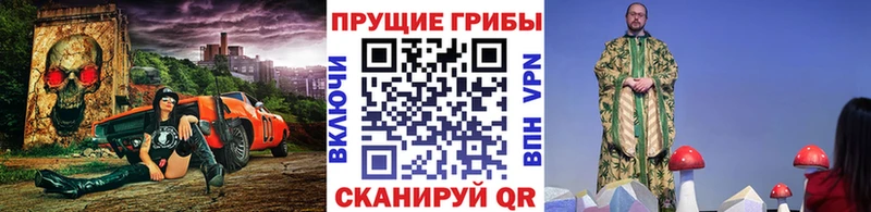 Псилоцибиновые грибы Psilocybine cubensis Инта